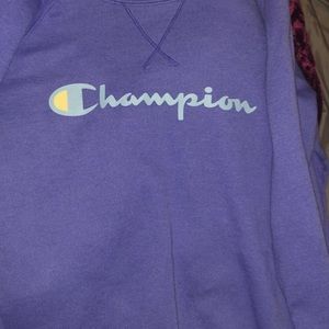 champion hoodie size small